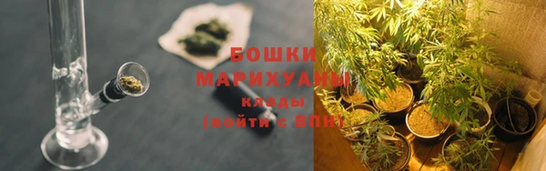 соль ск Балабаново