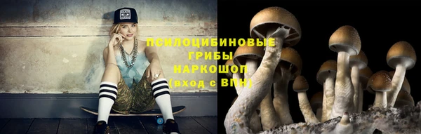 соль ск Балабаново