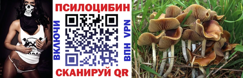 Галлюциногенные грибы мухоморы  Козельск 